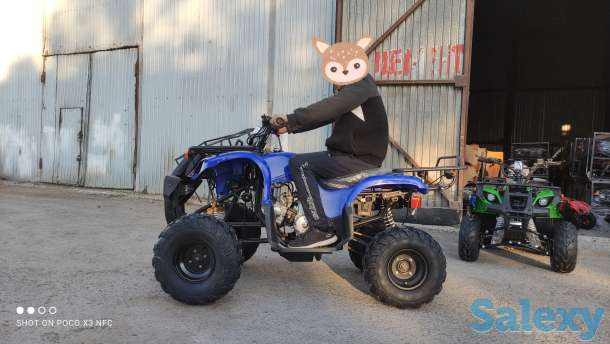 Квадроциклы 50,110,125,250сс, фотография 12