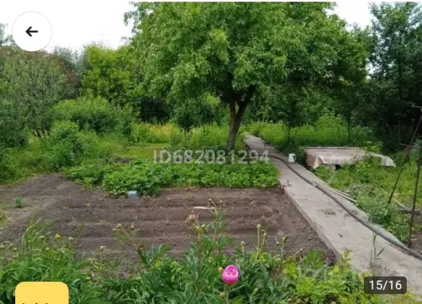 СРОЧНО ПРОДАМ ДАЧУ, СК Мелиоратор, фотография 2