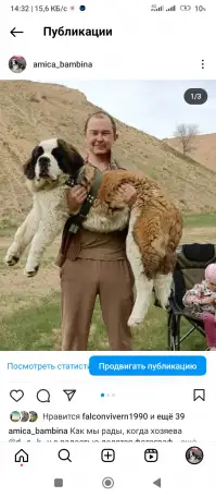 СЕНБЕРНАРЩЕНКИПРОДАЖА, фотография 5