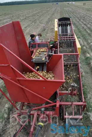 Продам прицепной картофелеуборочный комбайн ККУ-1, фотография 4