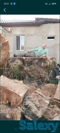 Спил деревьев. Евгений верхолаз (арборист), спецтехника. Обрезка, кронировка., фотография 14