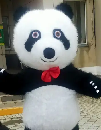 Аниматор мишка панда, фотография 1