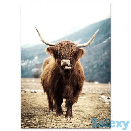 Картины постеры интерьер для бани загородного дома, фотография 14