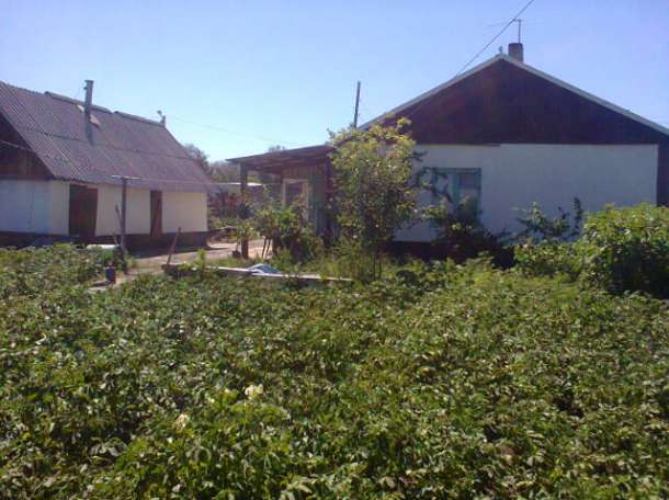 Продам срочно дом, Таврический р-н с Восточное ул Солнечная 23, фотография 2