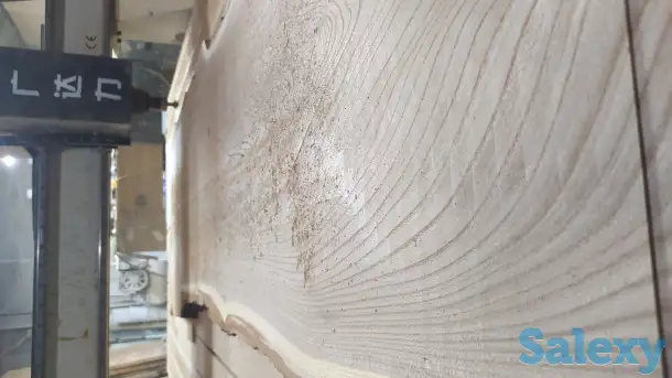 Слеб карагач., фотография 4