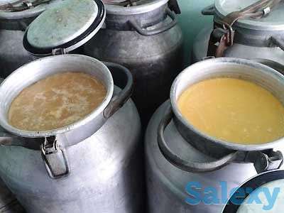 Мёд, Мёд, фотография 4