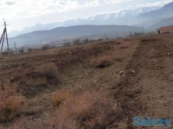 Механизированные работы. Пахота., фотография 2