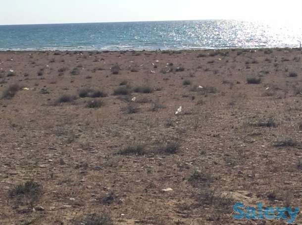 Продам земельный участок на берегу моря,первая линия, Тельман, фотография 3