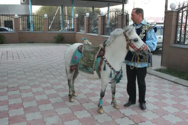 Наурыз кони, пони, шанырак, фотография 2