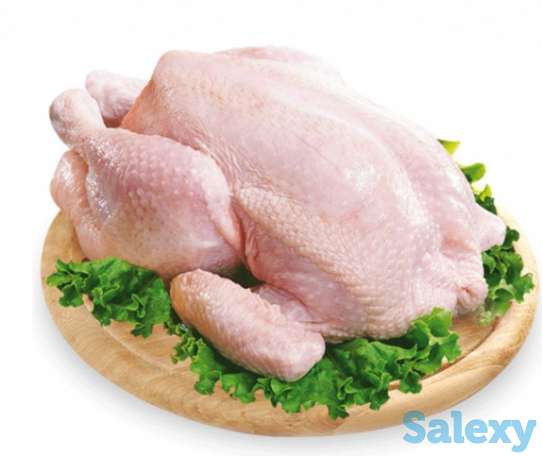 Свежее мясо домашних кур, фотография 1