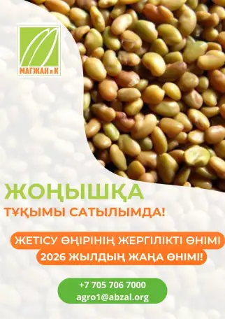 В продаже семена люцерны!, фотография 1