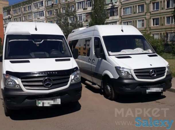 Автобусы, фотография 1