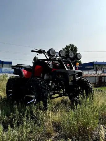 Квадроцикл 250сс на кардане, фотография 8