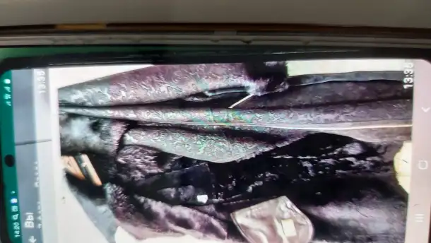 Продам  новую  стильную  турецкую  дублёнку  недорого, фотография 3