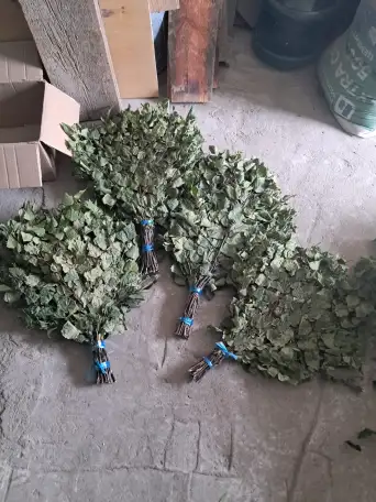 Веник, фотография 1