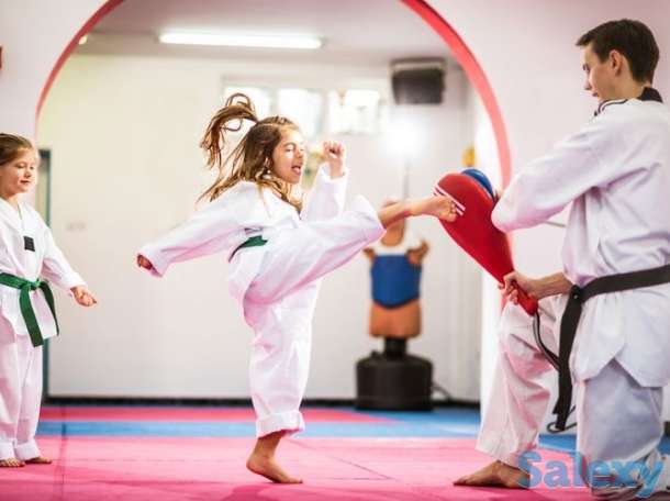 Тхэквондо(Олимпийский вид спорта), фотография 1