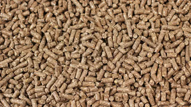 Гранулы из люцерны, фотография 3