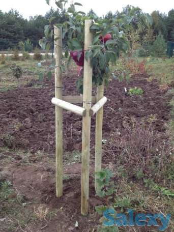 Деревянные колья-подпорки, фотография 1