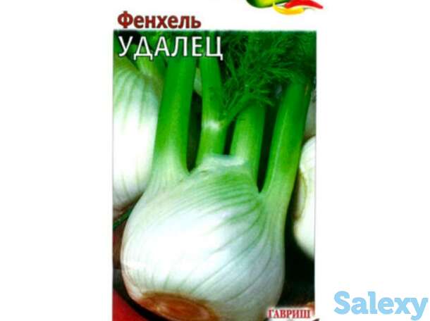 Семена Фенхель овощной Удалец 1.0г, фотография 1