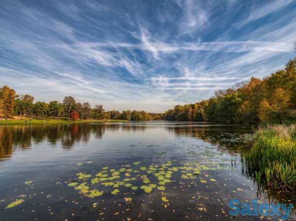 услуги психолога, фотография 1