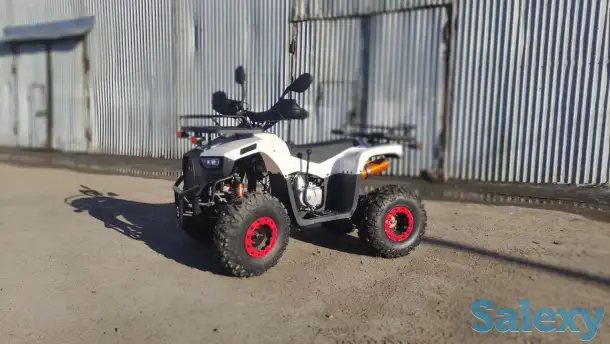 Квадроциклы 125-250, фотография 8