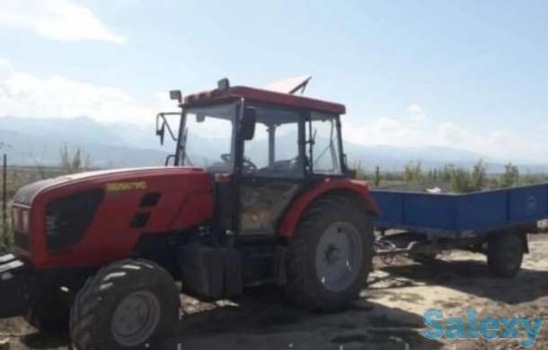 Плодово-ягодный объект (промышленный)., фотография 6