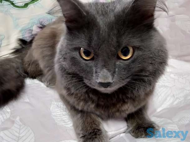 Отдам даром, фотография 1