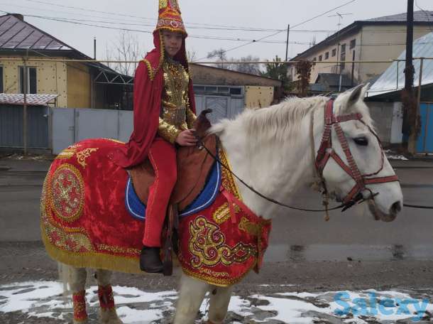 прокат лошади, фотография 1