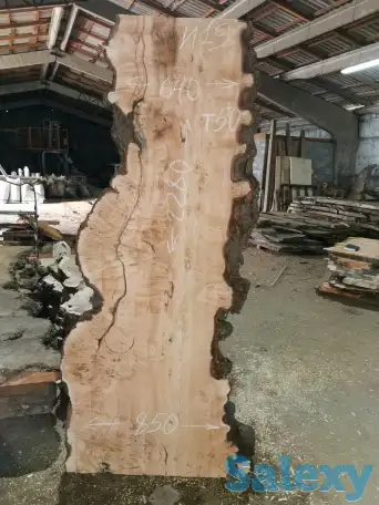 Слэбы от производителя из дуба, шпальтового бука, капового тополя, вербы, капового карагача, ясеня., фотография 11