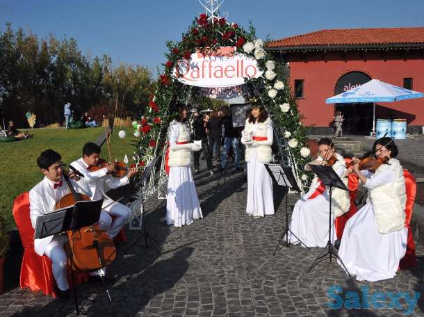 Струнный квартет для вашего мероприятия, фотография 8