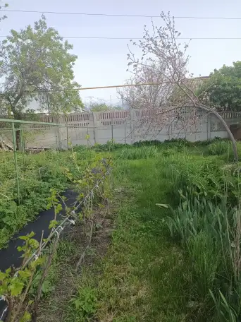 Продам дачу, участок, фотография 2