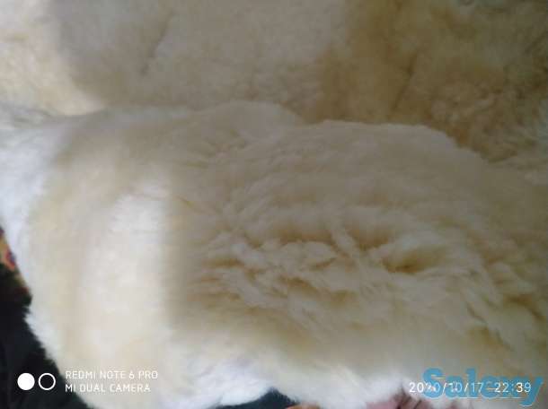 Продам коляску для двойни, фотография 1