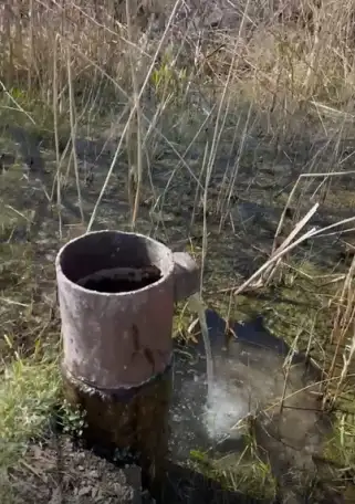 продажа земли КХ под фермерское хозяйство, Алматинская обл, пос Еламан, фотография 3