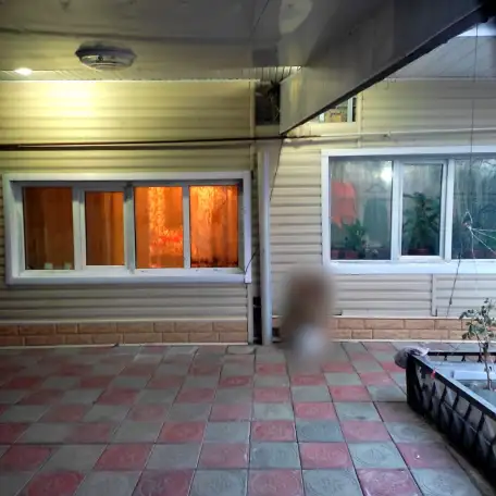 дом, Ержанова, фотография 5