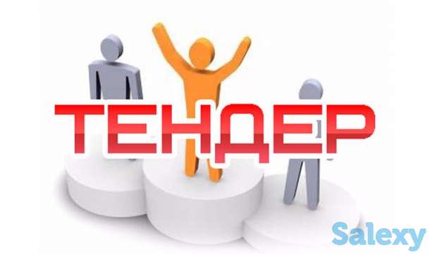 Обучение по тендерам, фотография 1