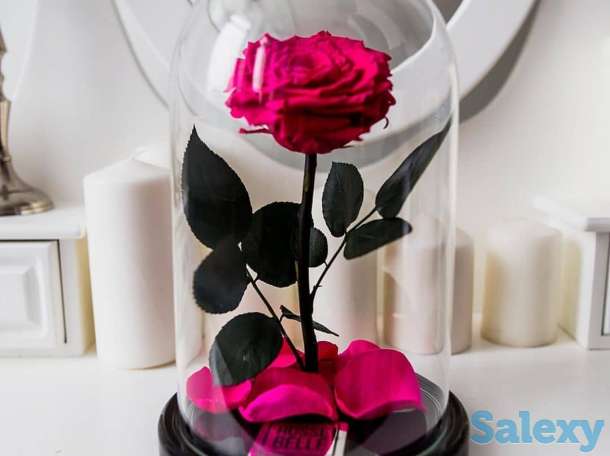 Продам франшизы., фотография 1