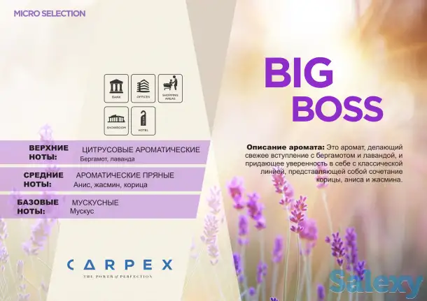 Ароматизатор Carpex окружающий, фотография 13