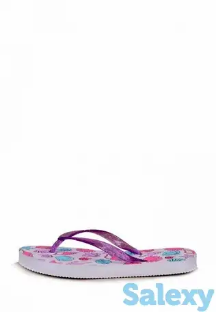 Сланцы t.taccardi, фотография 1