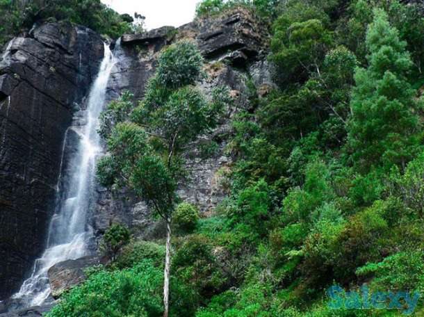 Завораживающее путешествие на Шри - Ланку., фотография 4