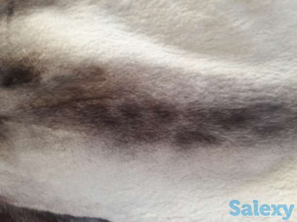 Продам шубу, фотография 4