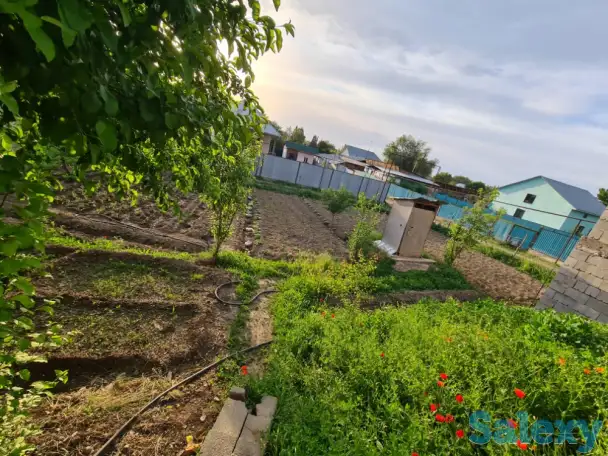 Продаю дом(Үй сатылады), Алматы облысы, Жамбыл ауданы, Қасымбек ауылы Чалабов Сари көшесі 38 а үй., фотография 12