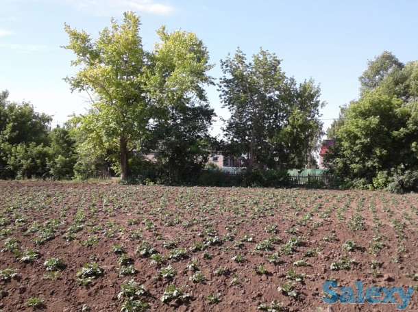 Продам дом в с. Новоишимка (Жанаесиль) 45 км от г. Нур-Султан, фотография 7