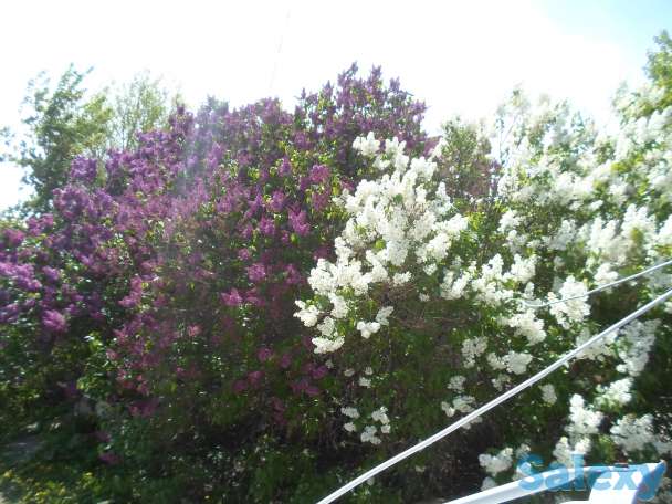 Продается Дом-Мечта, Интернациональная, 30, фотография 6