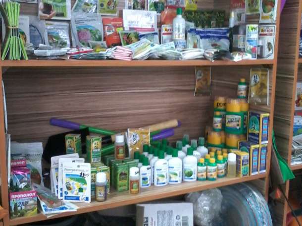 Семена цветов овощей зелени, фотография 8