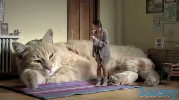 срочный ремонт котлов и колонок до 24-00, фотография 1