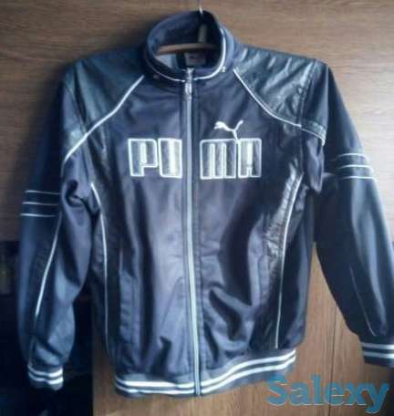 Продам спортивную куртку, фотография 1