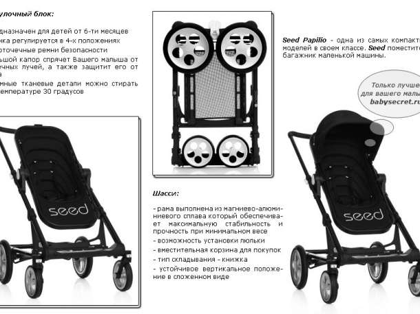 Seed, фотография 2