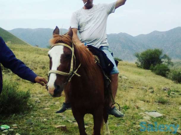 Перевозки Дэлика, фотография 1