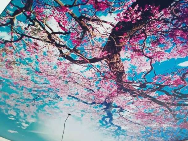 Комплексный ремонт квартир, офисов, коттеджей и строительство. Мы всегда на связи с клиентом. Бесплатный замер в любой т, фотография 7