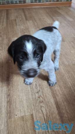 Продам, фотография 1